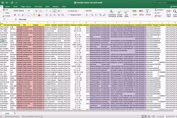Digital marketing portfolio examples — volume B2B and B2C contact data collected from LinkedIn with clean organised spreadsheet formatting